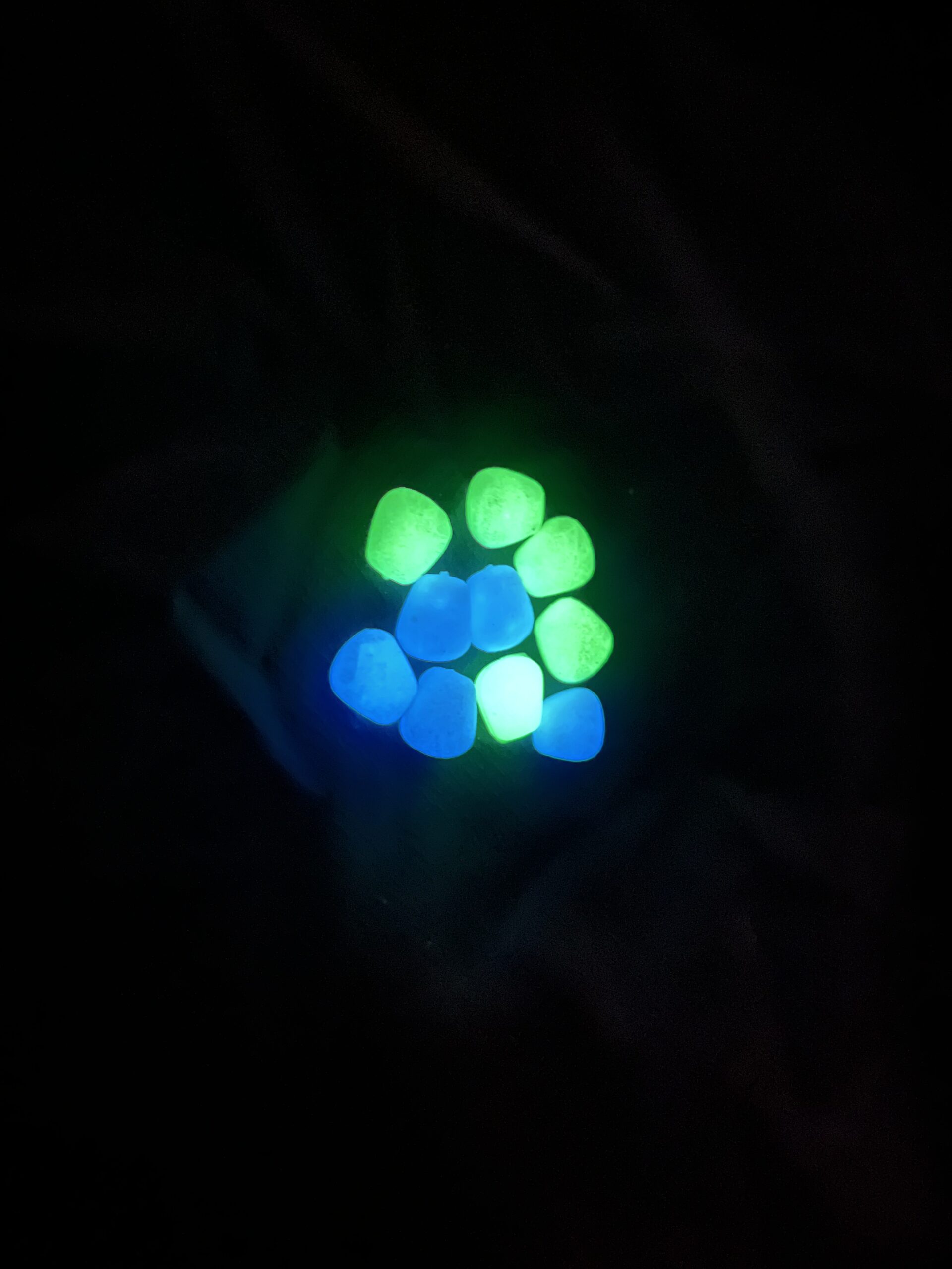 ET13N - Niteglow pop-up Sweetcorn