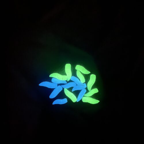 ET18N - Imitation Niteglow Grubs