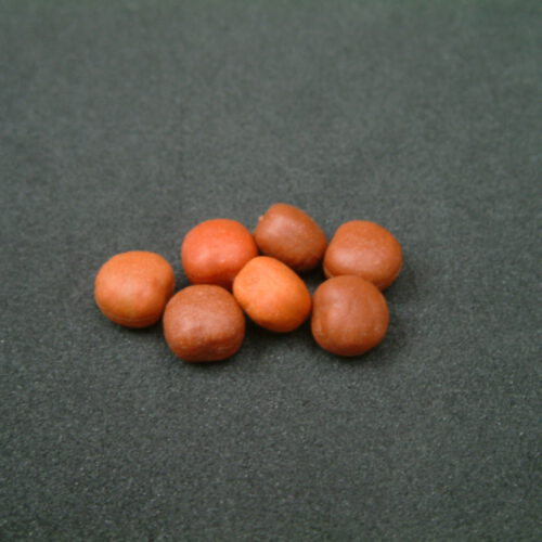 ET75 -  Popup Imitation Maple Pea.