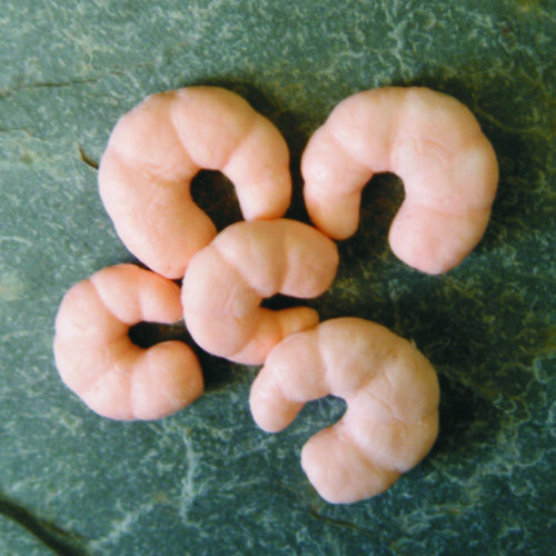 ET54 Imitation Prawns