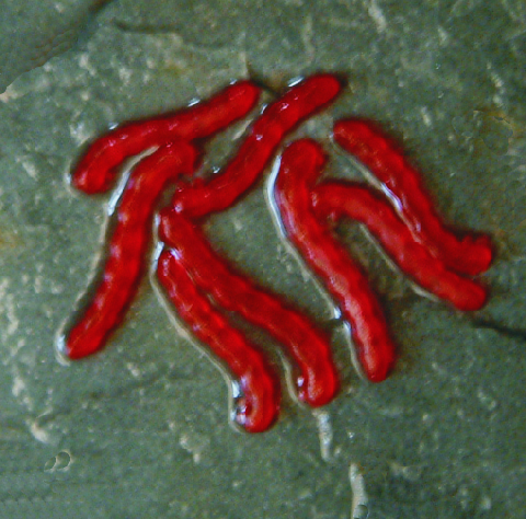 ET32  Artificial Bloodworm