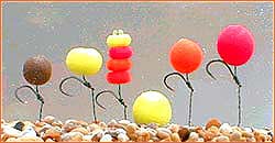 ET34 Eternal Boilies