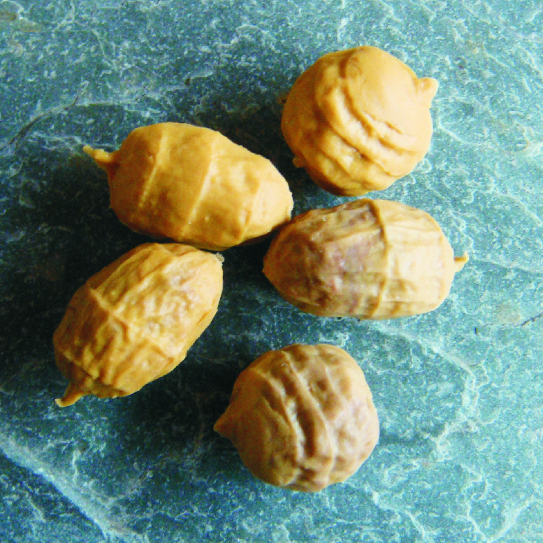 ET30S Sinking Tigernuts